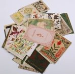 botanikposterset 4