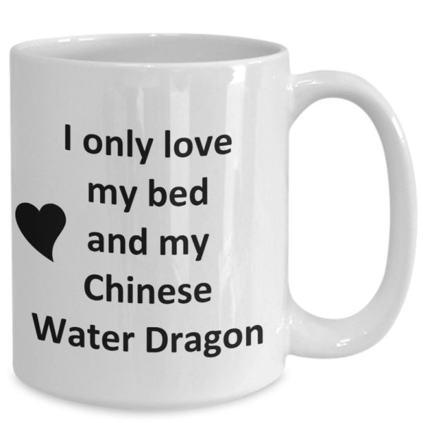 Chinese Water Dragon Lover Kupa - Reptile Pet - Love My Chinese Water Drago- ingilizce kupa bardak
