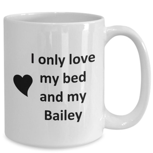 Bailey Lover Kupa - Kedi Köpek Kuş Evcil Hayvan Adı - Love My Bailey Adı - ingilizce kupa