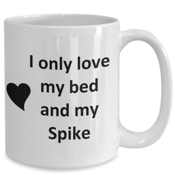Spike Lover Kupa - Kedi Köpek Kuş Evcil Hayvan Adı - Love My Spike Adı ingilizce kupa bardak